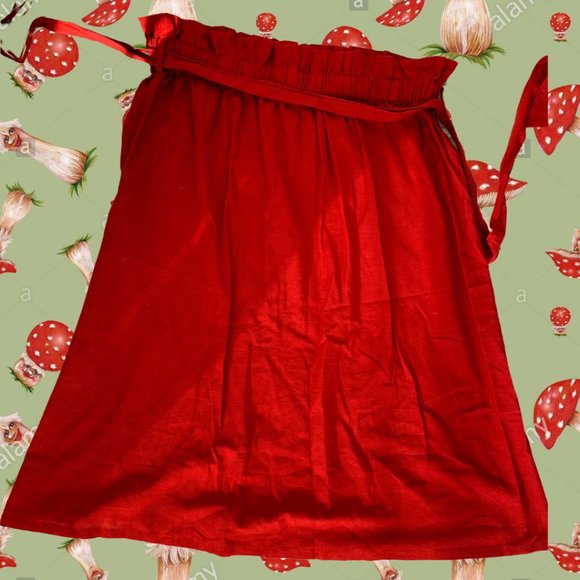 Brick red paperbag button down skirt - Picture 4 of 5